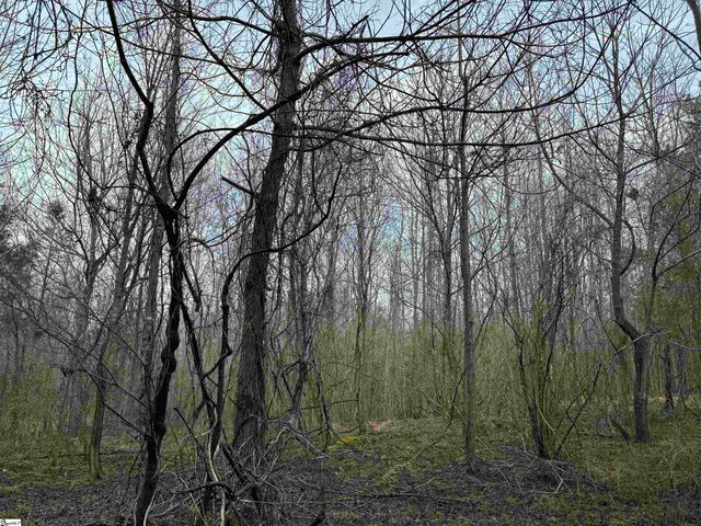 3465 Highway 92, Enoree, SC 29335