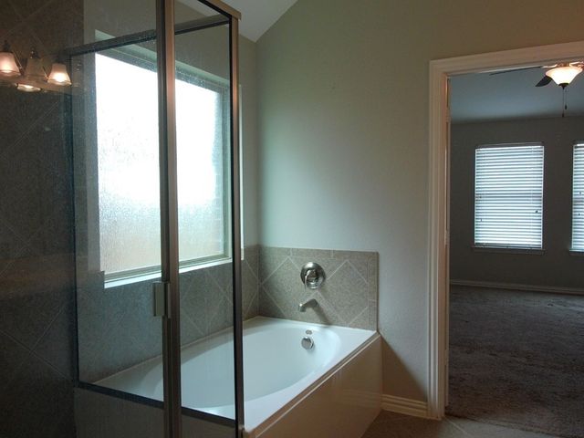 14313 Mariposa Lily Lane, Fort Worth, TX 76052