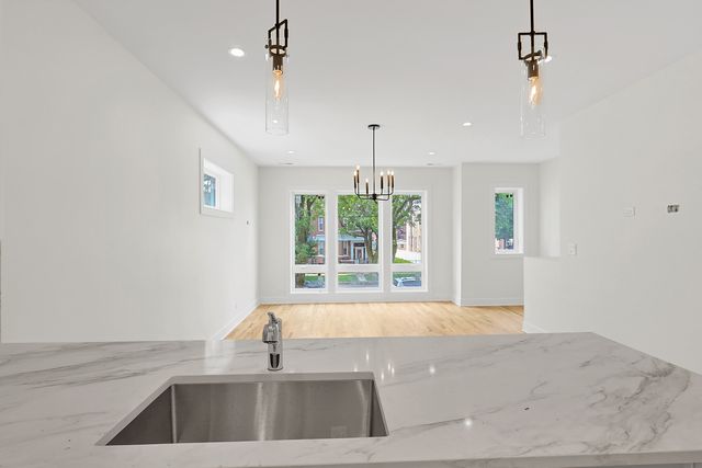 4217 S Indiana Avenue, Chicago, IL 60653