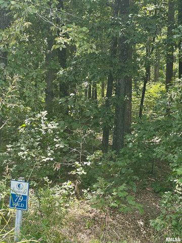 00 HAWTHORNE Point, Goreville, IL 62939