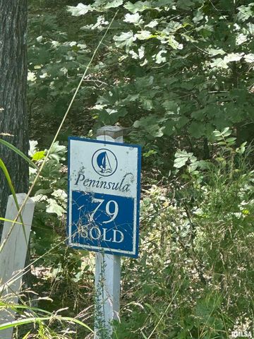 00 HAWTHORNE Point, Goreville, IL 62939