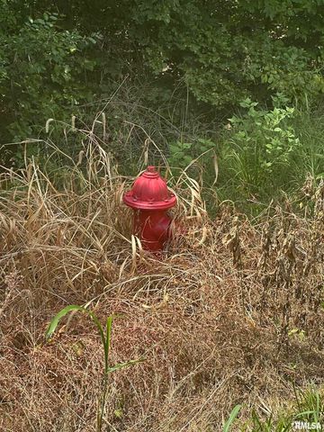 00 HAWTHORNE Point, Goreville, IL 62939