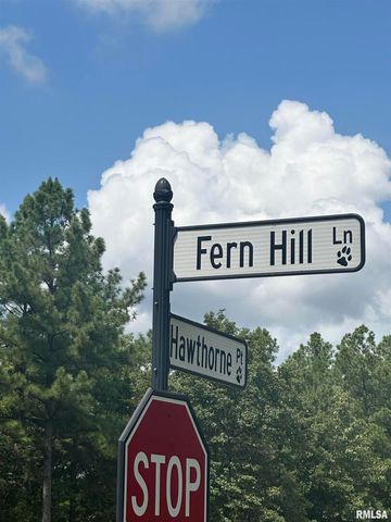 00 HAWTHORNE Point, Goreville, IL 62939