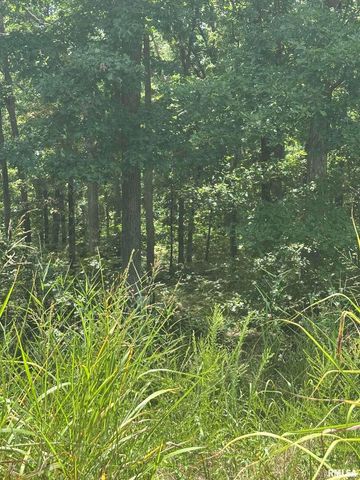 00 HAWTHORNE Point, Goreville, IL 62939