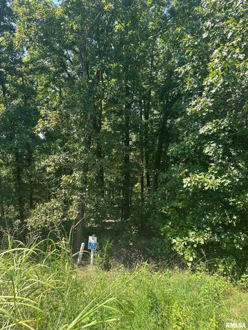 00 HAWTHORNE Point, Goreville, IL 62939