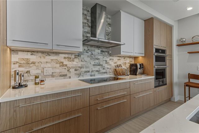 275 1ST AVENUE S 1701, St Petersburg, FL 33701