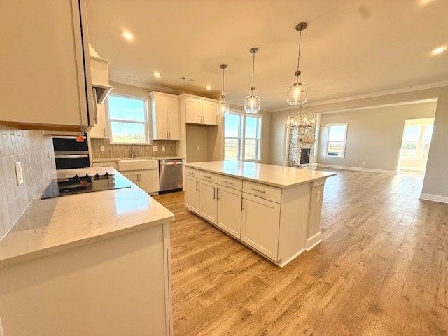 4036 Willow Belle Dr, Mount Juliet, TN 37122