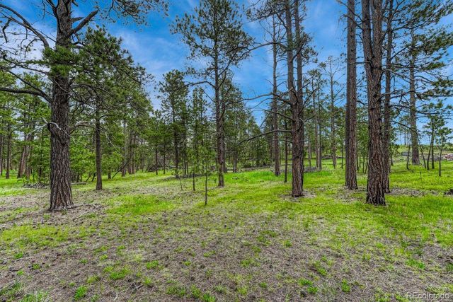 000 Wyandott Drive, Colorado Springs, CO 80908