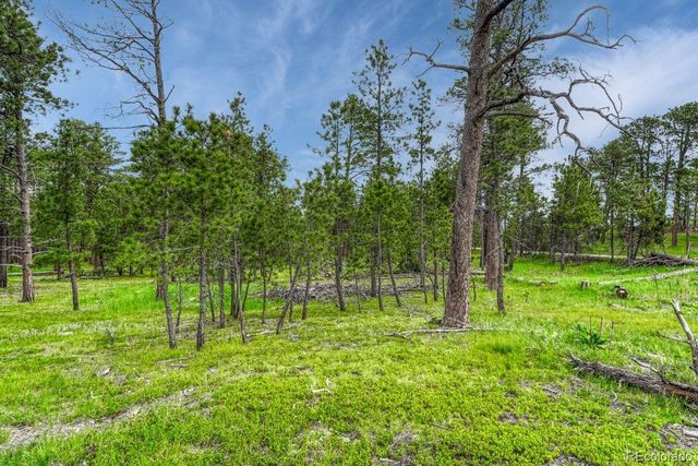 000 Wyandott Drive, Colorado Springs, CO 80908