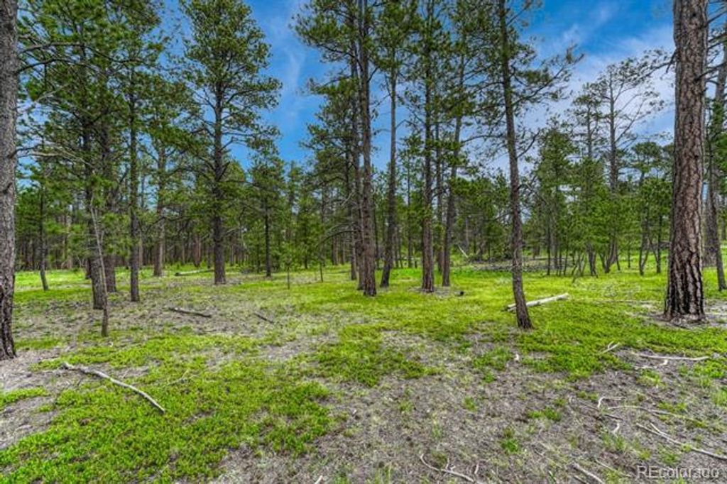 000 Wyandott Drive, Colorado Springs, CO 80908