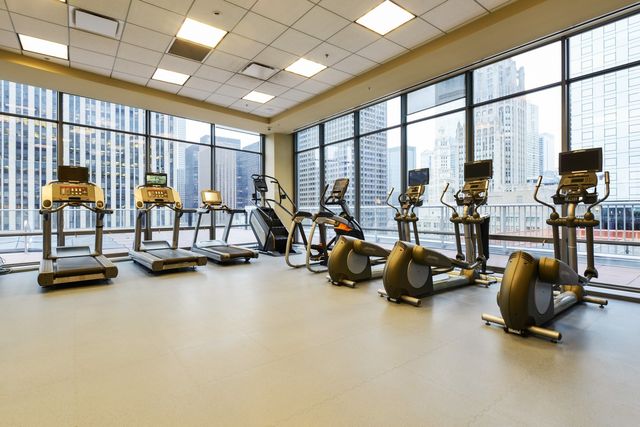 240 E ILLINOIS Street 1509, Chicago, IL 60611