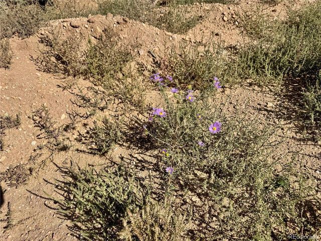 3817 Fontaine Rd, Fort Garland, CO 81133