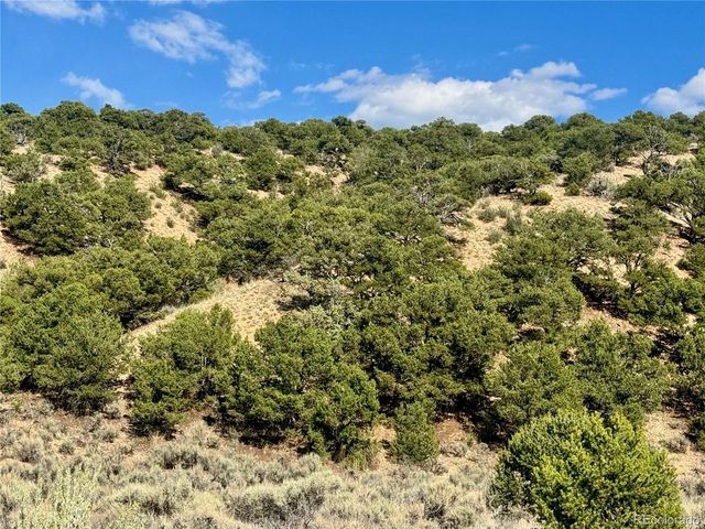 3817 Fontaine Rd, Fort Garland, CO 81133