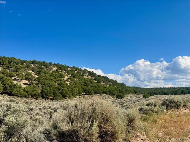 3817 Fontaine Rd, Fort Garland, CO 81133