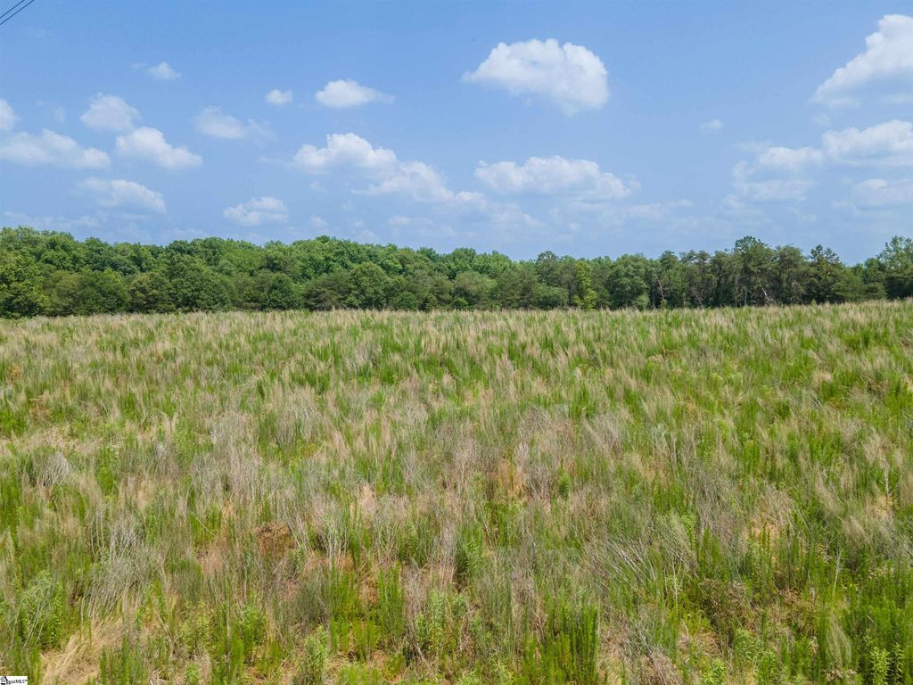 0 Cooley Springs Shchool Road, Chesnee, SC 29323