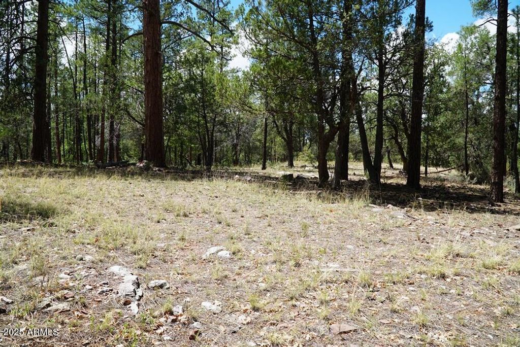 Image 1 of property listing at 283 S LOOKOUT Trail 44, Payson, AZ 85541