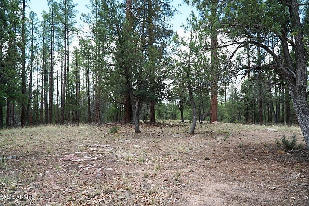 Image 10 of property listing at 283 S LOOKOUT Trail 44, Payson, AZ 85541