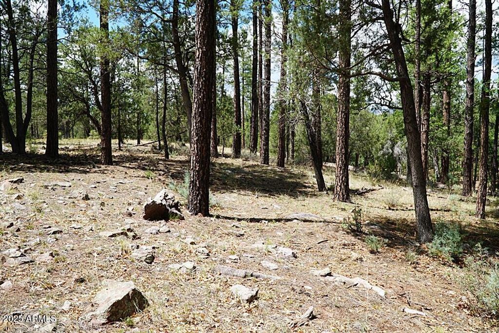 Image 2 of property listing at 283 S LOOKOUT Trail 44, Payson, AZ 85541