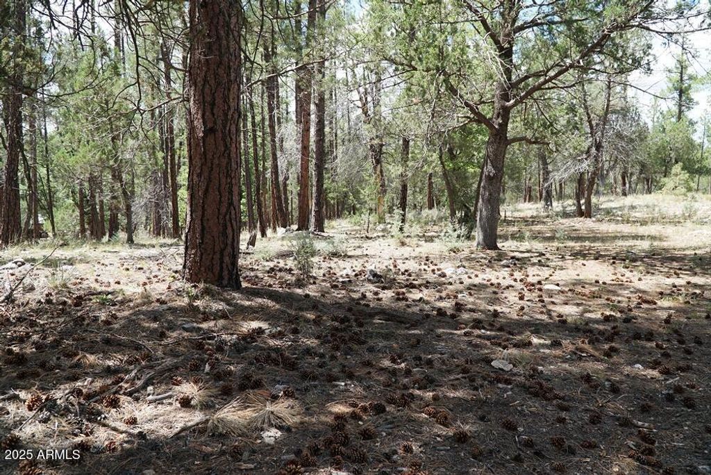 Image 3 of property listing at 283 S LOOKOUT Trail 44, Payson, AZ 85541