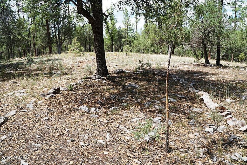 Image 4 of property listing at 283 S LOOKOUT Trail 44, Payson, AZ 85541