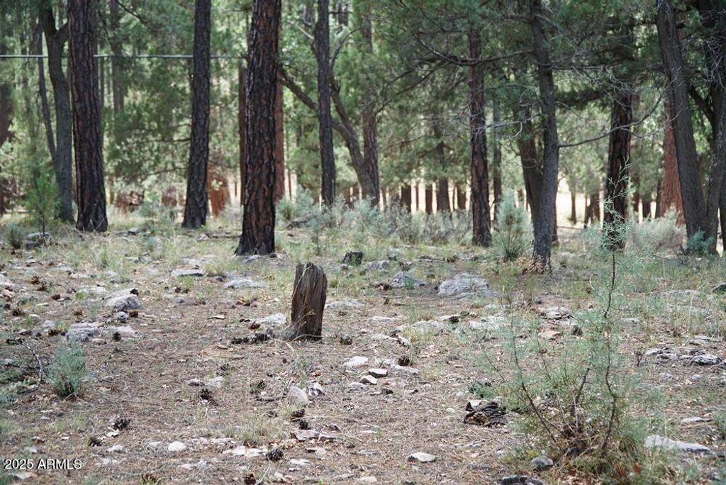Image 5 of property listing at 283 S LOOKOUT Trail 44, Payson, AZ 85541