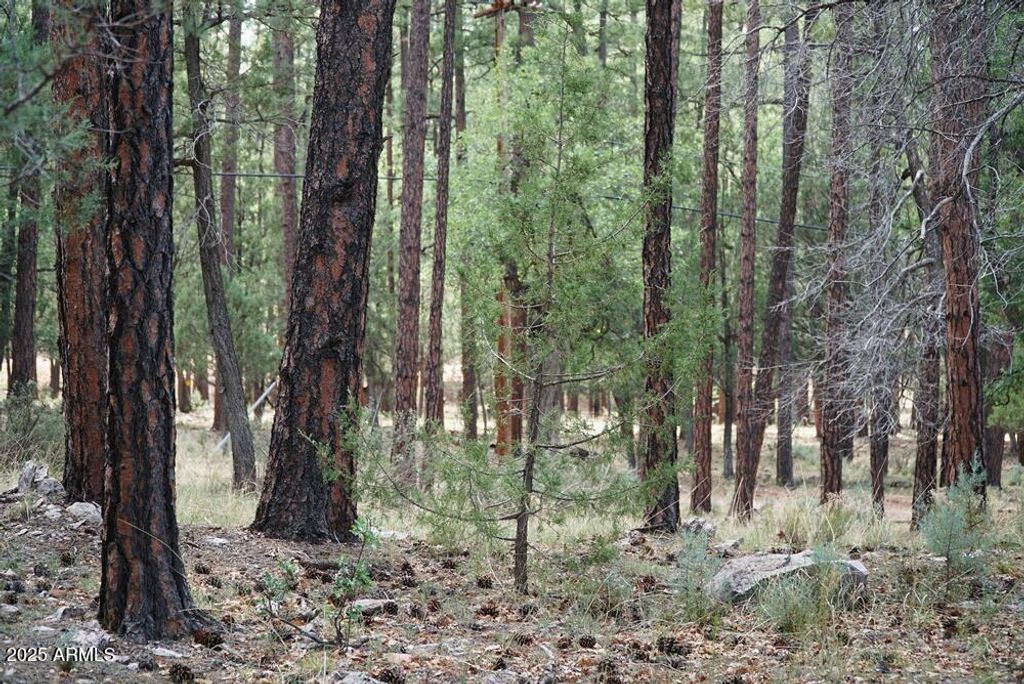 Image 6 of property listing at 283 S LOOKOUT Trail 44, Payson, AZ 85541