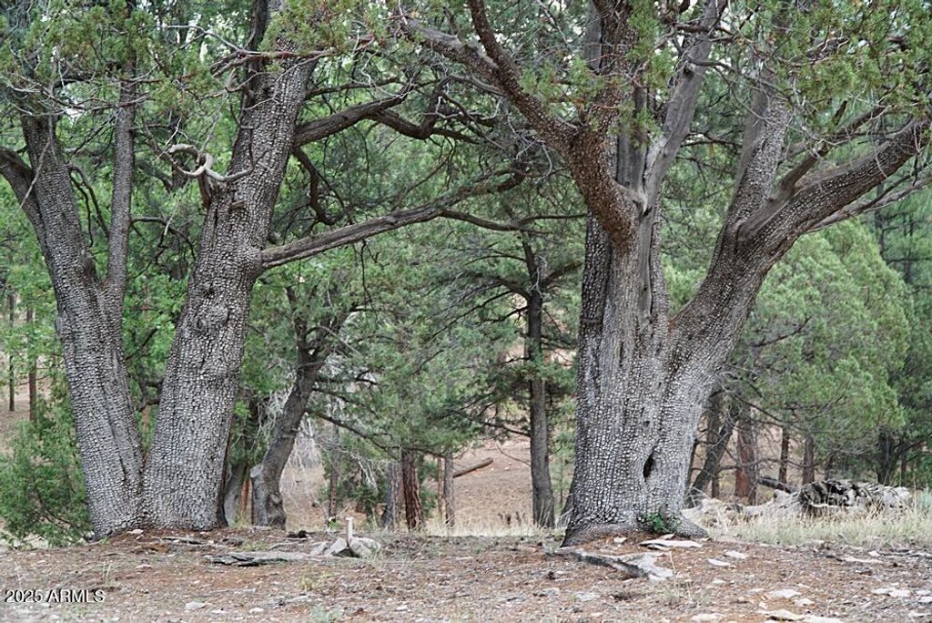 Image 7 of property listing at 283 S LOOKOUT Trail 44, Payson, AZ 85541