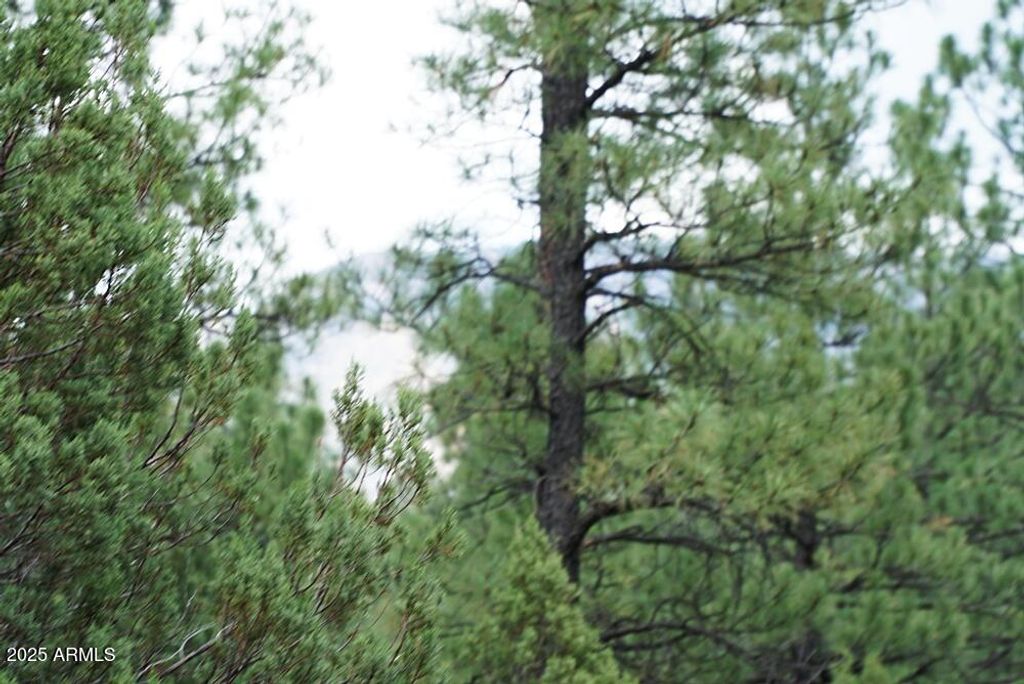 Image 8 of property listing at 283 S LOOKOUT Trail 44, Payson, AZ 85541