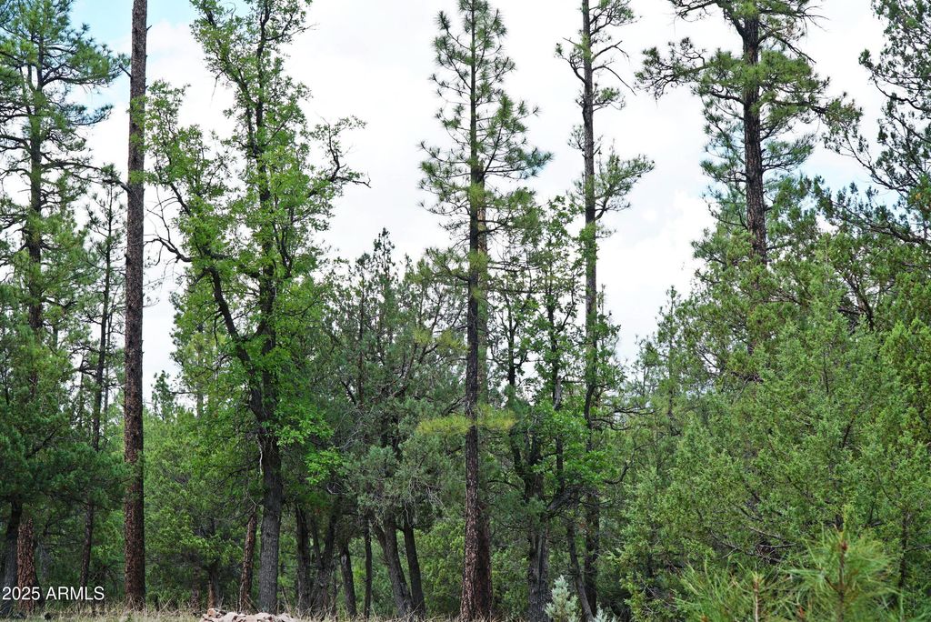 Image 9 of property listing at 283 S LOOKOUT Trail 44, Payson, AZ 85541