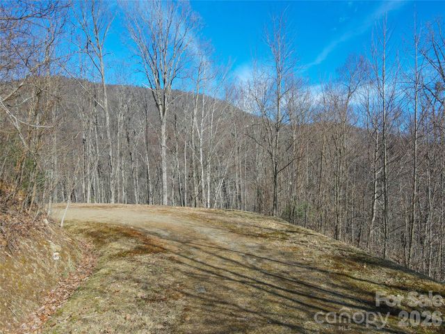 735 Whisper Mountain Drive, Leicester, NC 28748