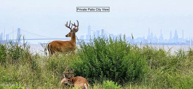 46 Golden Eye Lane, Port Monmouth, NJ 07758