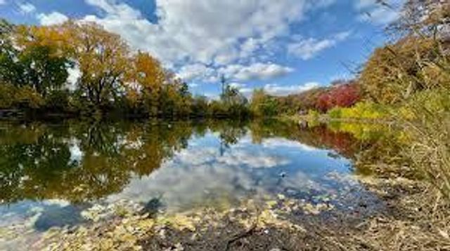 7204 1st Avenue S, Richfield, MN 55423