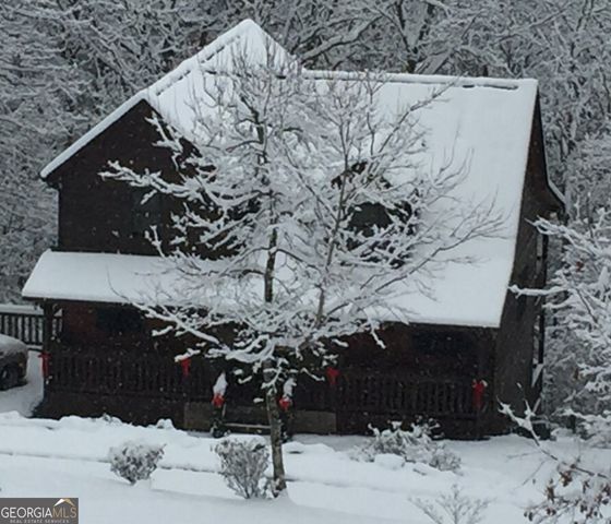 175 Leisure Drive, Ellijay, GA 30536