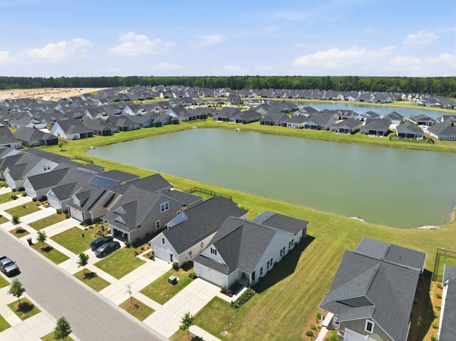 1210 Black Skimmer Street, Summerville, SC 29485