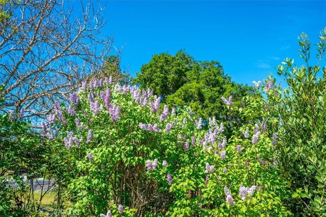 3956 Maricopa, Atascadero, CA 93422