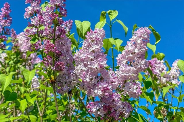 3956 Maricopa, Atascadero, CA 93422