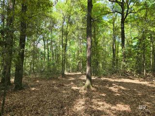 1131 Wolf Log Road, Flomaton, AL 36441