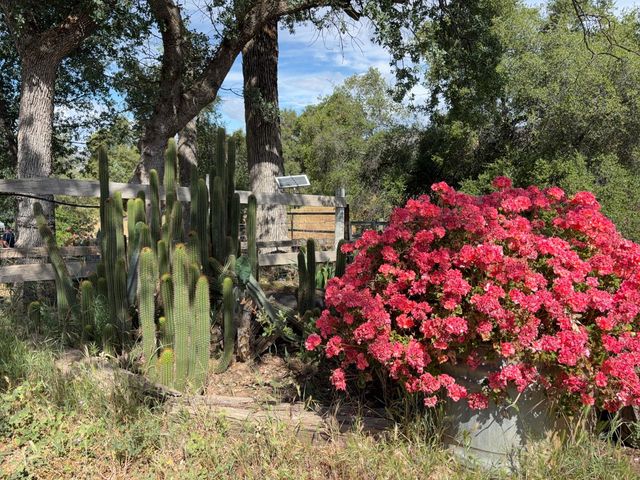 39569 Clover Lane, Yokuts Valley, CA 93675