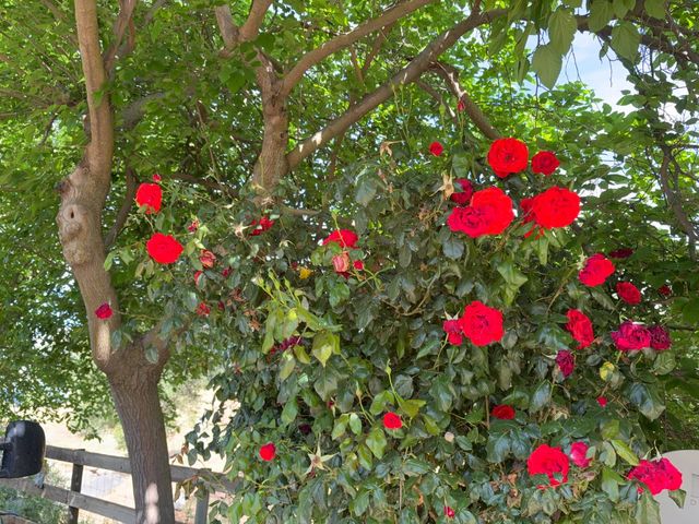 39569 Clover Lane, Yokuts Valley, CA 93675