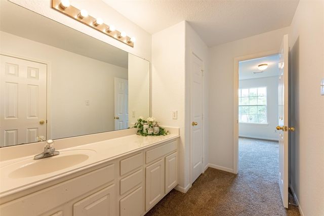 21706 Spring Vine Lane, Katy, TX 77450