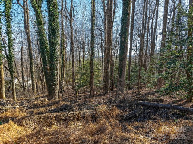 000 Indian Cave Road, Hendersonville, NC 28739