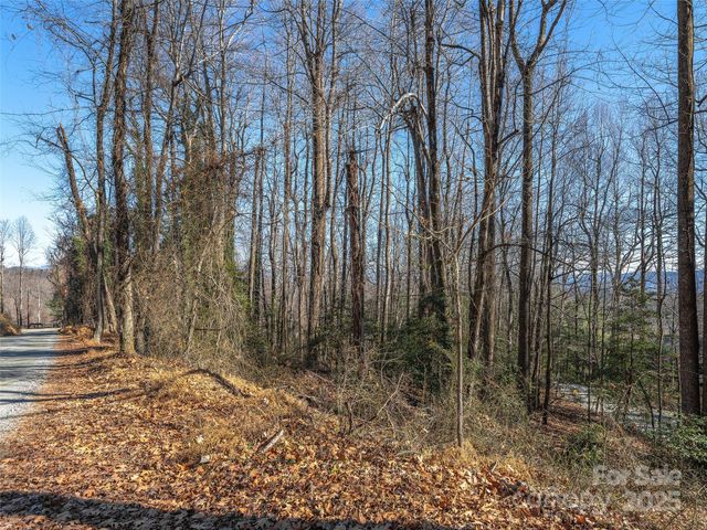 000 Indian Cave Road, Hendersonville, NC 28739