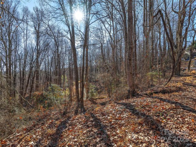 000 Indian Cave Road, Hendersonville, NC 28739