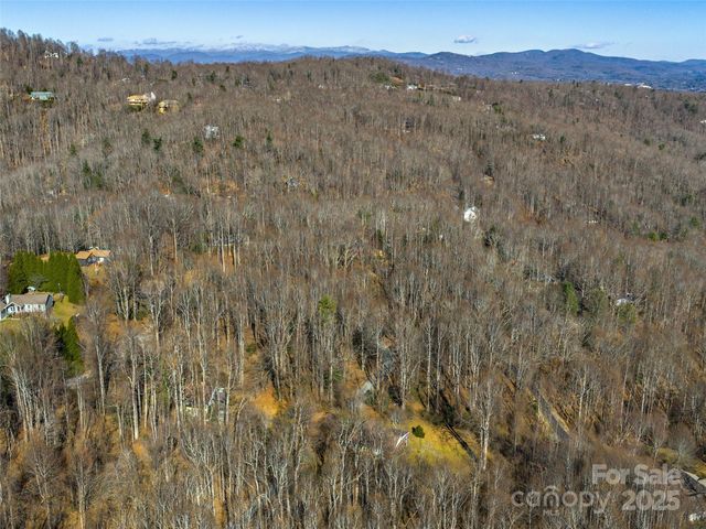 000 Indian Cave Road, Hendersonville, NC 28739