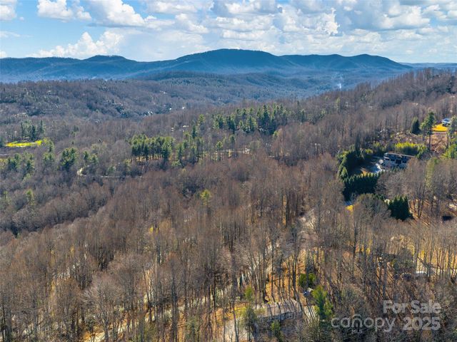 000 Indian Cave Road, Hendersonville, NC 28739