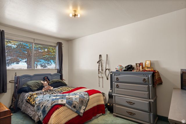 988 TRANSTRUM RD, Saint Charles, ID 83272