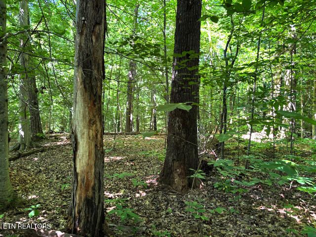0 Topside Rd, Knoxville, TN 37920