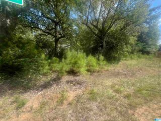 611 REDSTONE CAMP ROAD, Adger, AL 35006