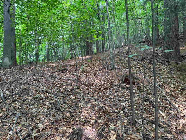 Lot 18 Woods Drive, Traverse City, MI 49686