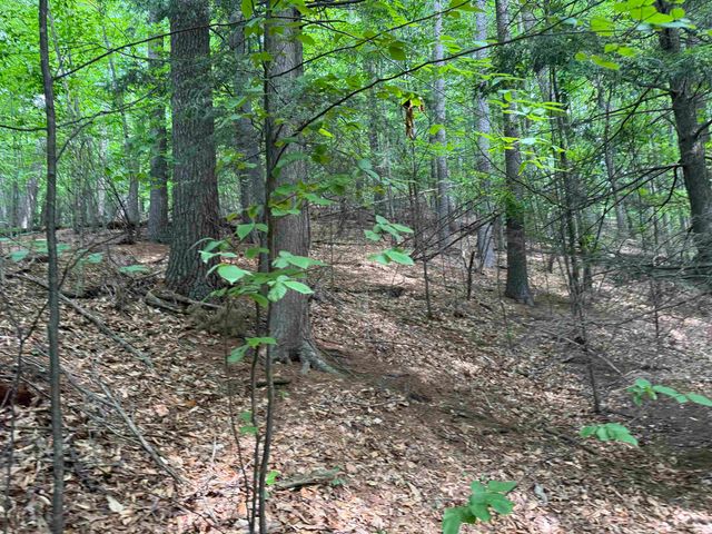 Lot 18 Woods Drive, Traverse City, MI 49686
